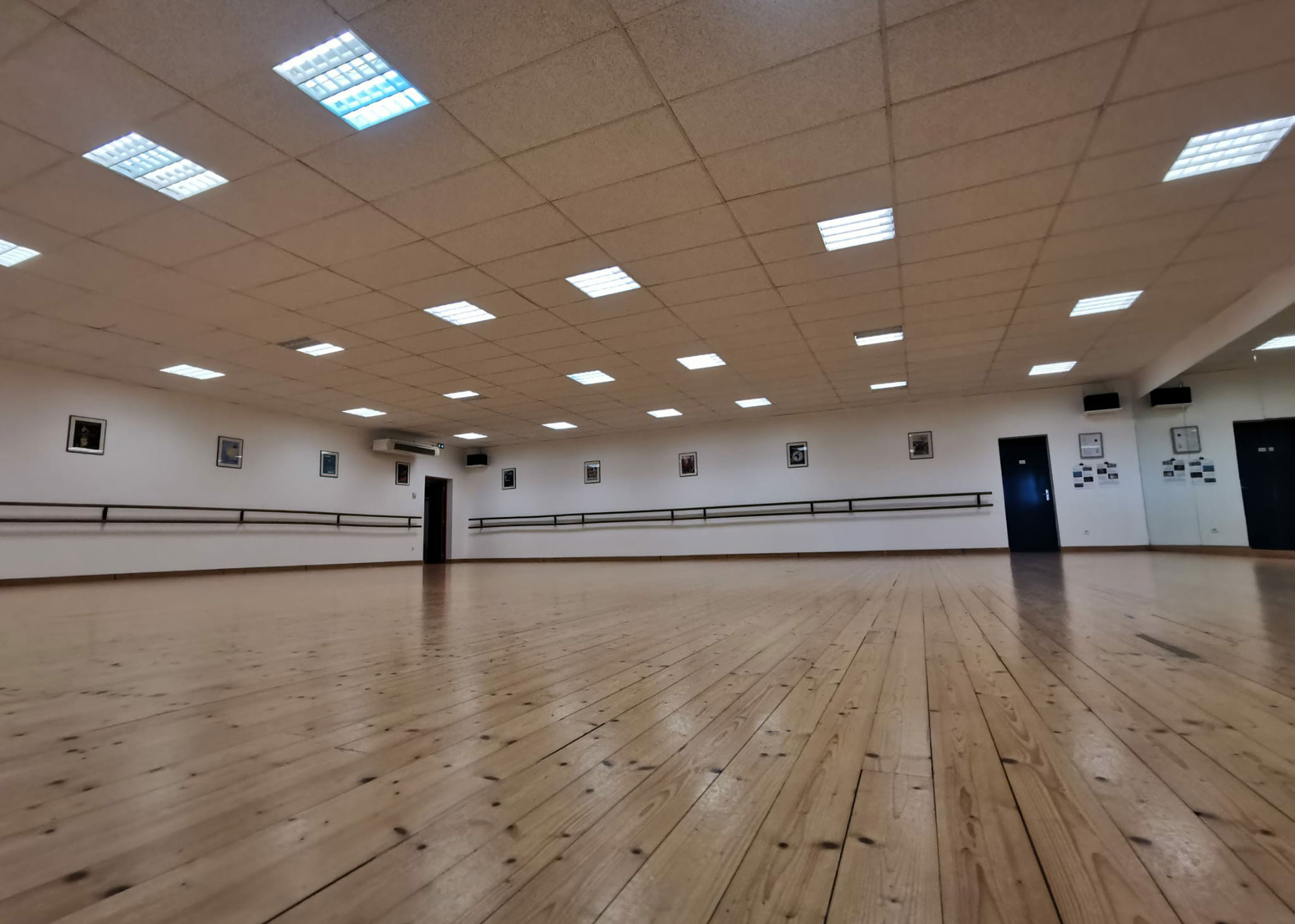 camille-vigier-ecole-danse-studio-jardin-1