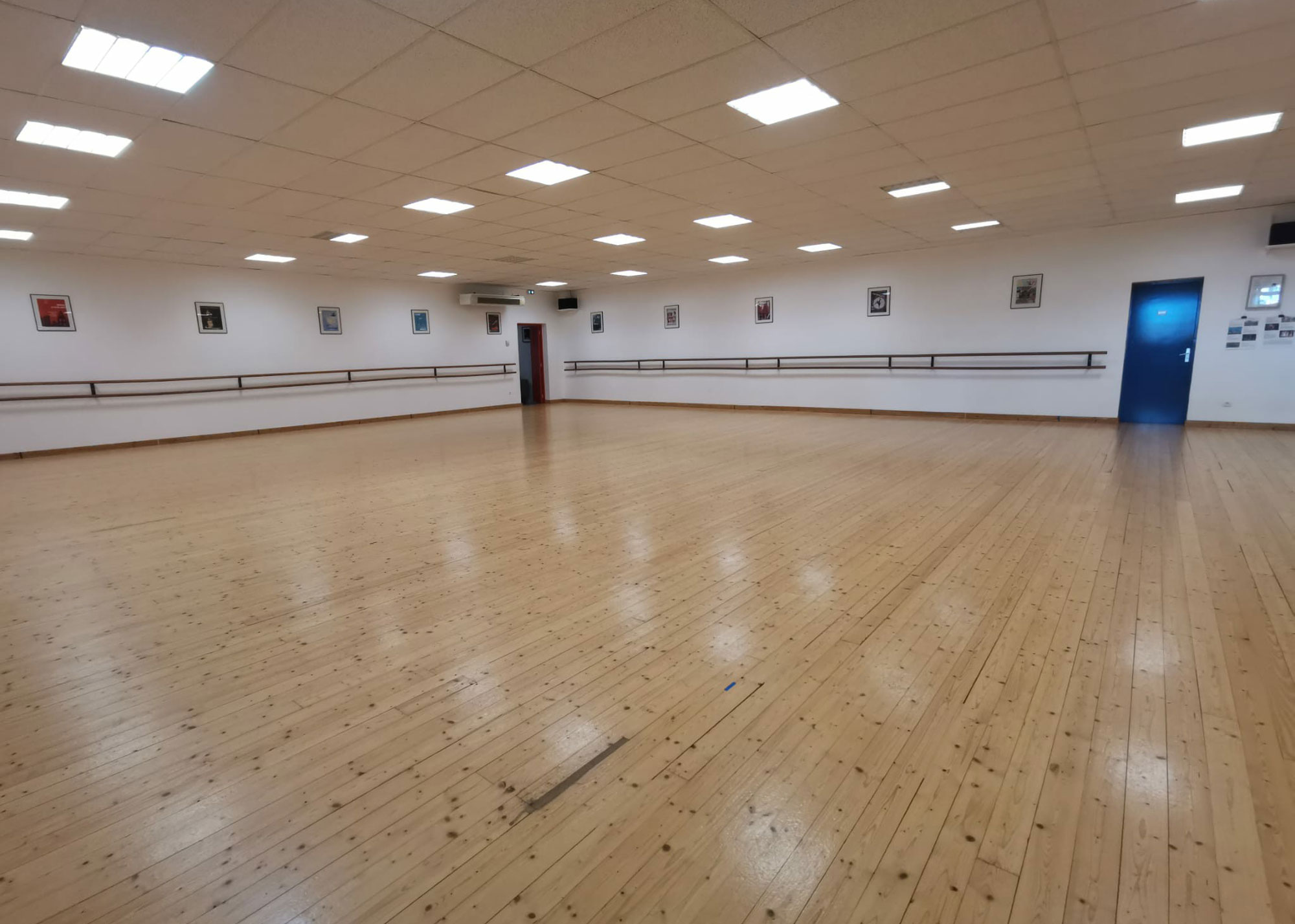 camille-vigier-ecole-danse-studio-jardin